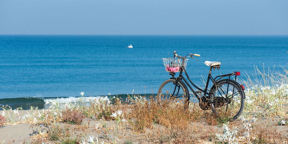 Beach, Coast, Bicycle, Sea, Shore, Vehicle, Summer, Bicycle wheel, Vacation, Sand, 