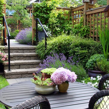Small garden how to make a small garden look bigger