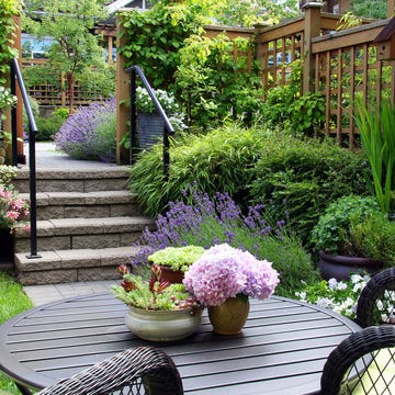 how to make a small garden look bigger