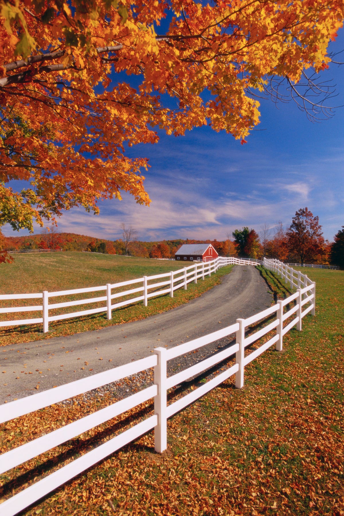 white wooden fence along farm