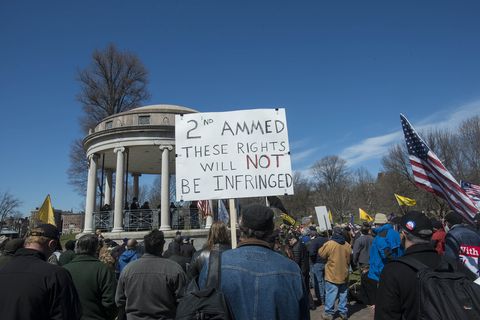 Pro gun rally on Boston Common