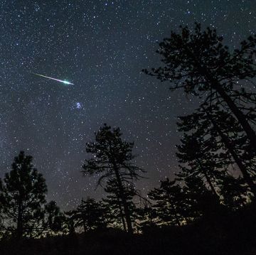 meteorenzwerm perseïden