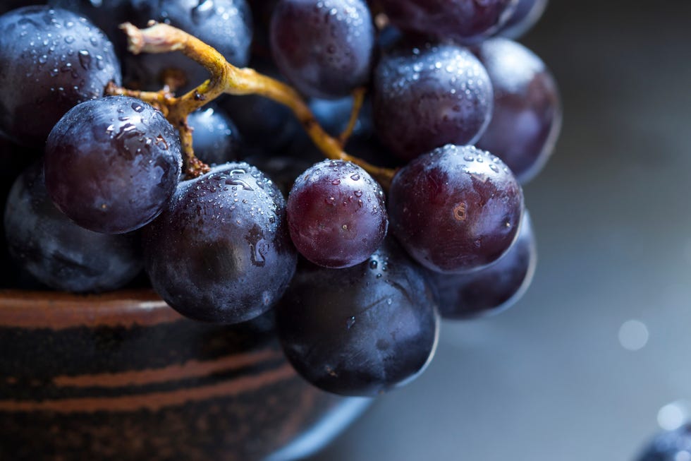 rustic ceramic bowl of juicy ripe black grapes over a dark background conceptual of healthy table grapes or grapes as an ingredient in viticulture and wine making