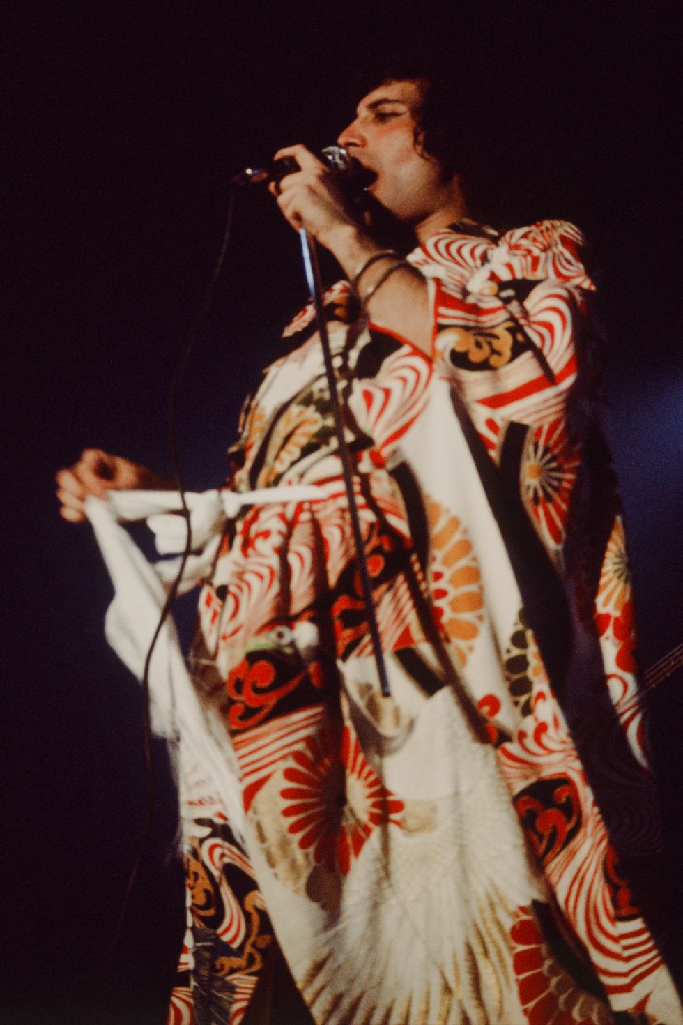 Queen Live At Nippon Budokan Freddie Mercury In Kimono　V&Aミュージアム　きもの展