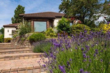jardín con plantas aromáticas