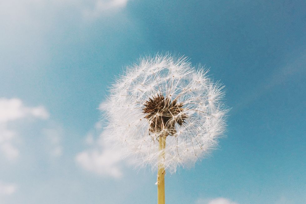 Why your hay fever is next level this year