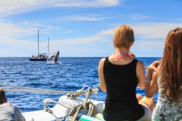 adults on snorkel trip aboard pez gato, near cabo san lucas, baja ca, mexico