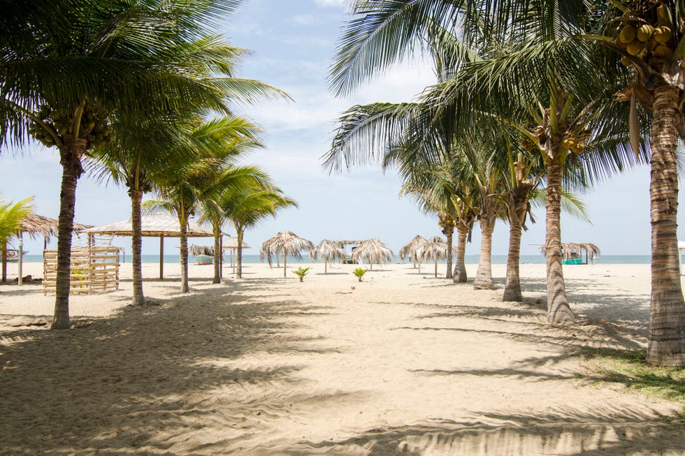 Beach, Tree, Palm tree, Vacation, Shore, Tropics, Arecales, Sea, Sky, Attalea speciosa, Beach, Tree, Palm tree, Vacation, Shore, Tropics, Arecales, Sea, Sky, Attalea speciosa,
