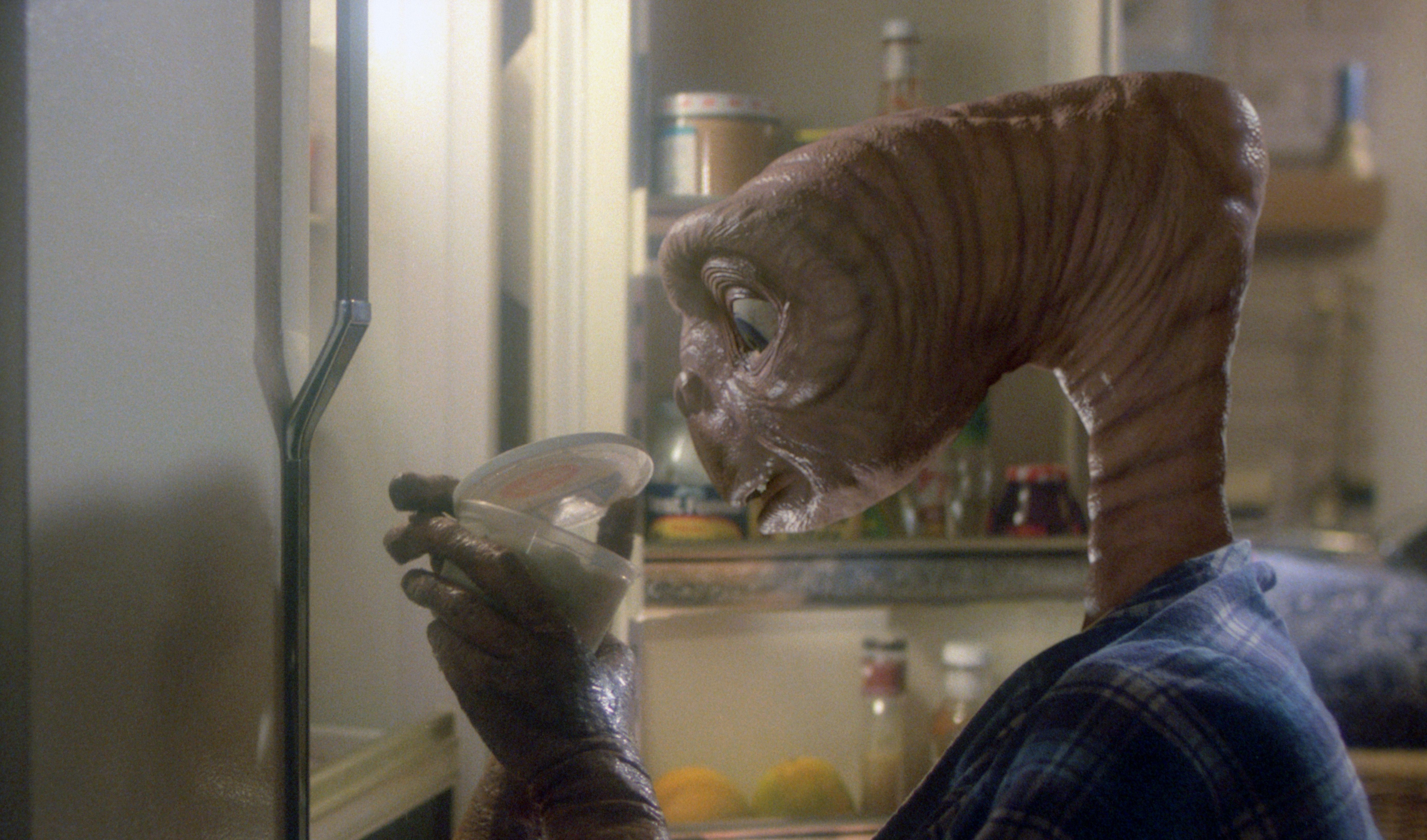 Things You Only Notice In E.T. As An Adult