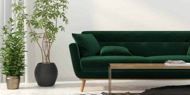 Couch, Furniture, Green, Living room, Sofa bed, Interior design, Room, studio couch, Table, Floor, 
