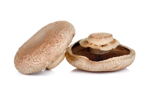 Champignon mushroom, Agaricus, Mushroom, Agaricaceae, Shiitake, Edible mushroom, Pleurotus eryngii, Ingredient, Agaricomycetes, Fungus, 