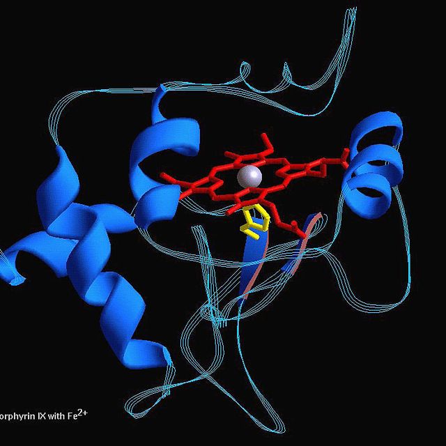 Protein Molecule: Cytochrome-C550