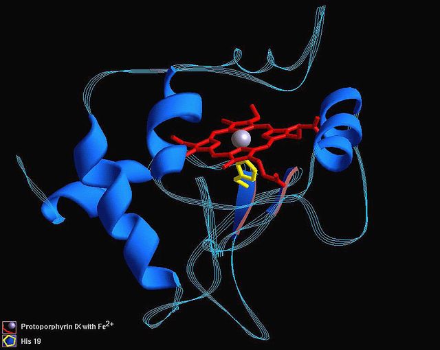 Protein Molecule: Cytochrome-C550