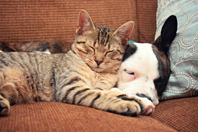 these two grew up together and have been best friends ever since