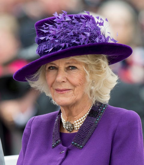 Camilla Parker Bowles Hat and Dress at the Royal Wedding - See Camilla ...