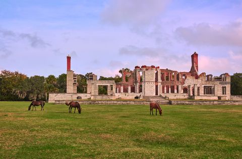 a serene landscape image of three red brown wild horses leisurely grazing the meadow in the ruin of the abandoned mansion lined with live oak trees under blue sky with golden clouds in the background in golden light of cumberland island national seashore depicting zen like peace, beauty and paradise in nature