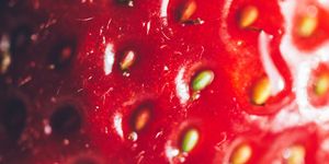 Red, Water, Close-up, Macro photography, Fruit, Food, Plant, Organism, Drop, Strawberries, 