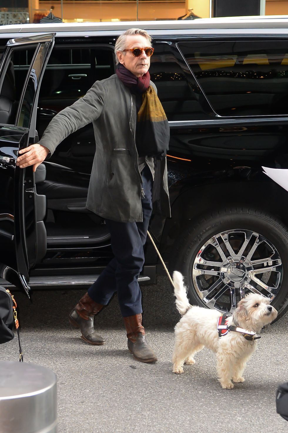 new york, ny   december 13  actor jeremy irons is seen walking is dog in soho on december 13, 2016 in new york city  photo by raymond hallgc images