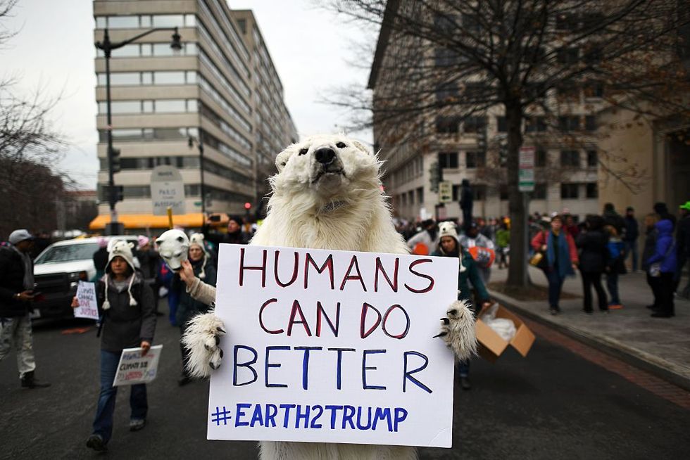Polar bear protester