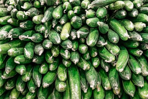 Vegetable, Natural foods, Plant, Food, Cucumber, gourd, and melon family, Cucumis, Local food, Gherkin, Momordica charantia, Zucchini, 