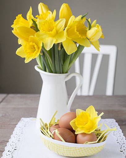 daffodils narcissus in a jug, easter decoration with brown eggs
