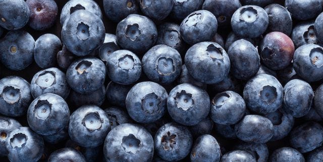 Bilberry, Berry, Blueberry, Fruit, Superfood, Natural foods, Huckleberry, Plant, Food, Damson, 