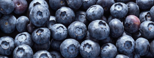 Bilberry, Berry, Blueberry, Fruit, Superfood, Natural foods, Huckleberry, Plant, Food, Damson, 