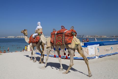 How to Visit Dubai - Jumeirah Beach