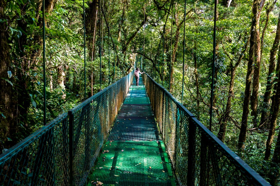 girl walking on hanging bridge in cloudforest   monteverde, costa rica   adventure in central america