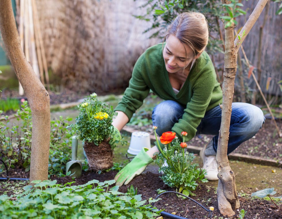 woman planting flowers in her backyard, rome, italy