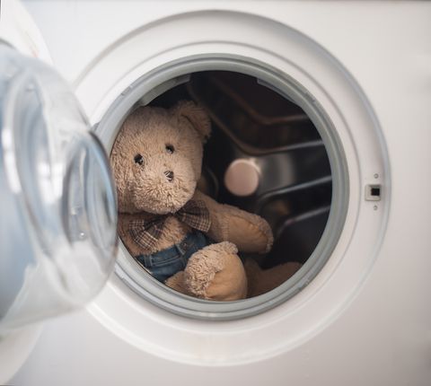 Teddy Bear in the washing machine