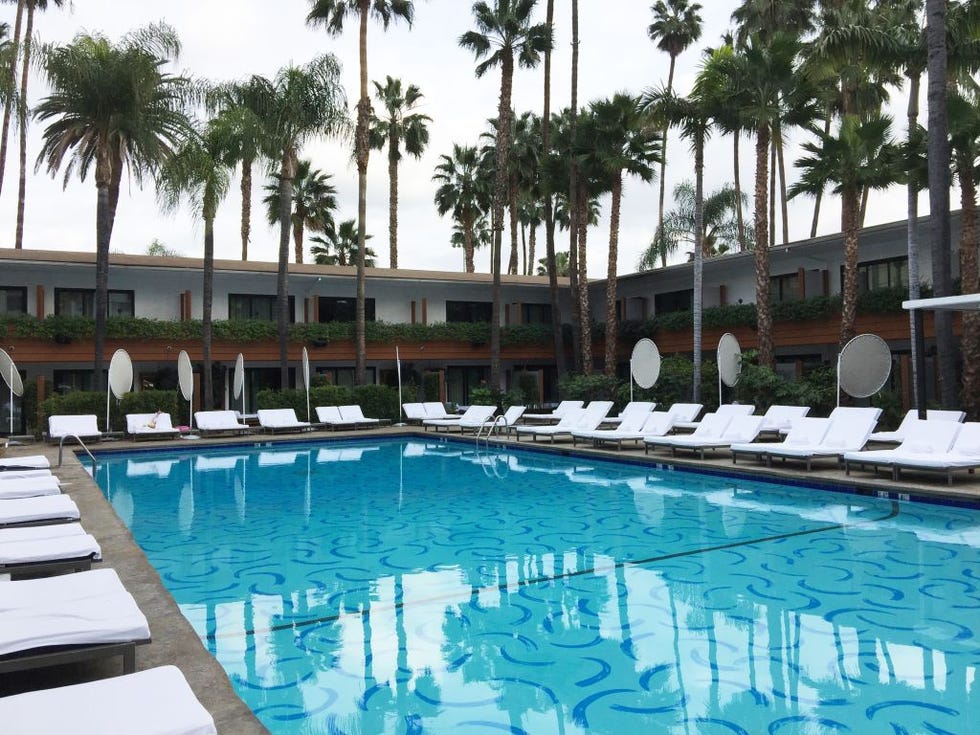 los angeles january 15 hollywood roosevelt swimming pool in los angeles, california on january 15, 2017 photo by jim steinfeldtmichael ochs archivesgetty images