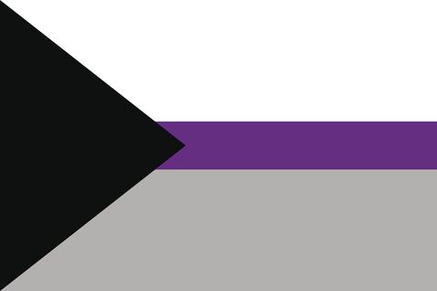 proposed separate demisexual pride flag vector illustration a graphic element