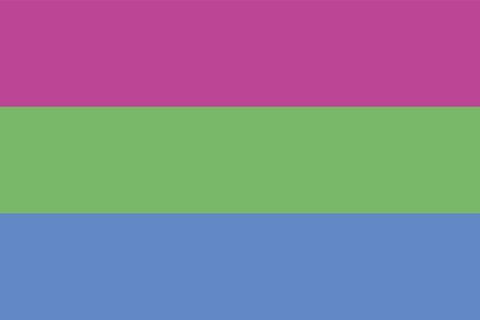 polysexual pride flag vector illustration a graphic element