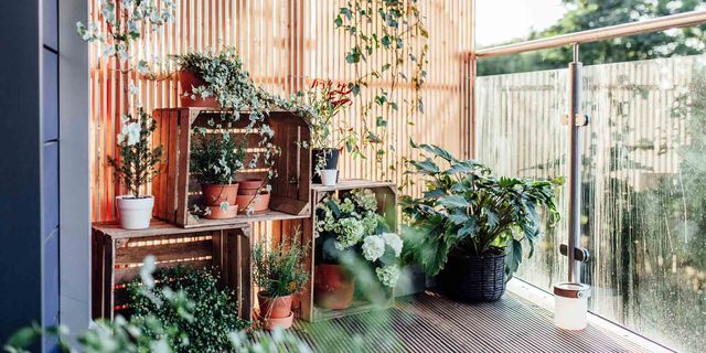 Flowerpot, Plant, Interior design, Houseplant, Annual plant, Home fencing, Herb, Vase, 