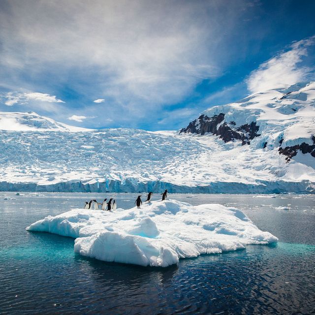 Polar ice cap, Iceberg, Ice, Glacial lake, Nature, Glacier, Sea ice, Glacial landform, Sky, Arctic ocean, 