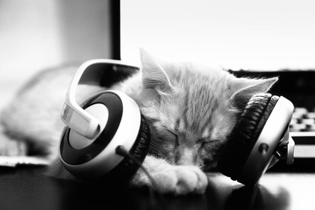 DJ Cat