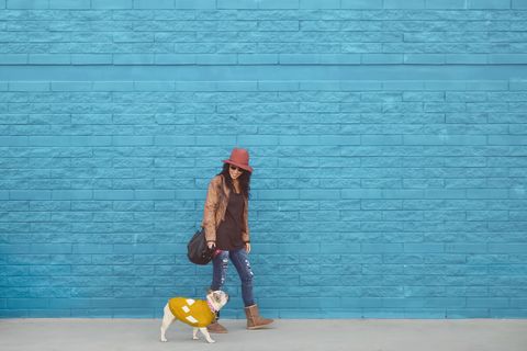 Woman going walkies with her French bulldog in front of blue wall
