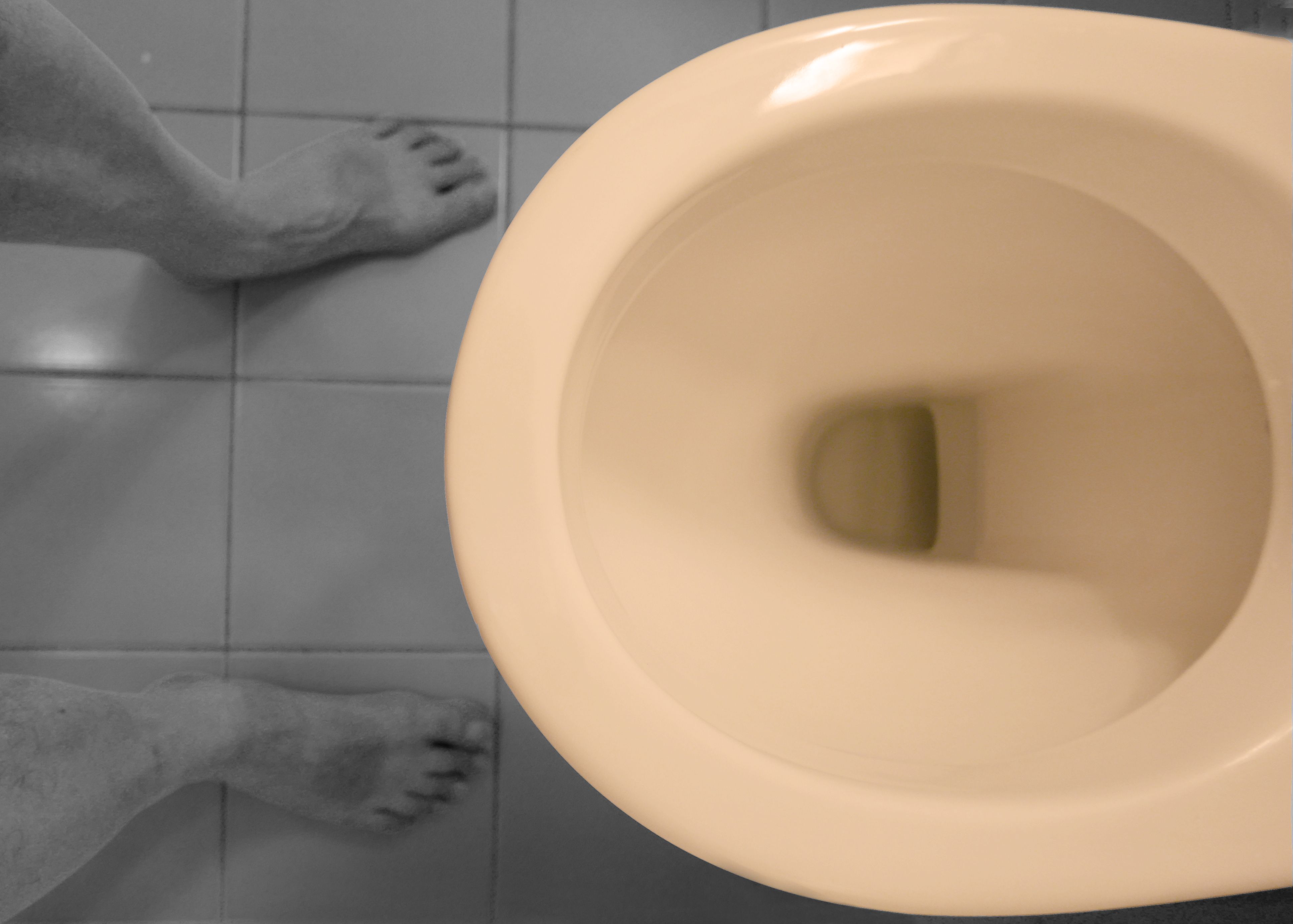 Sloped Toilet Seat - Toilet Seats - Pooping Angle