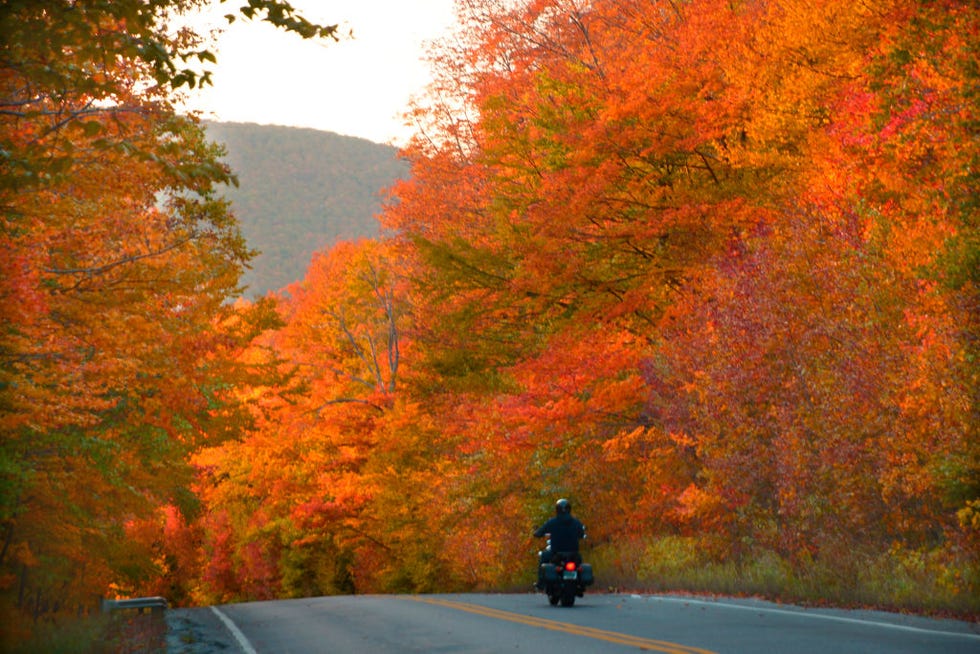 vermont foliage