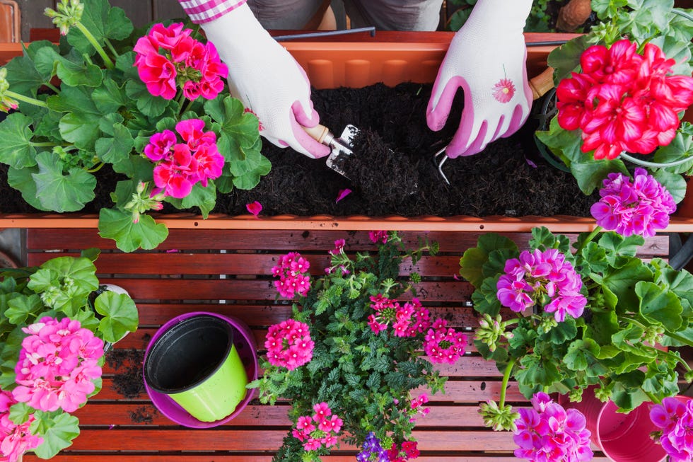 garden trends balcony garden