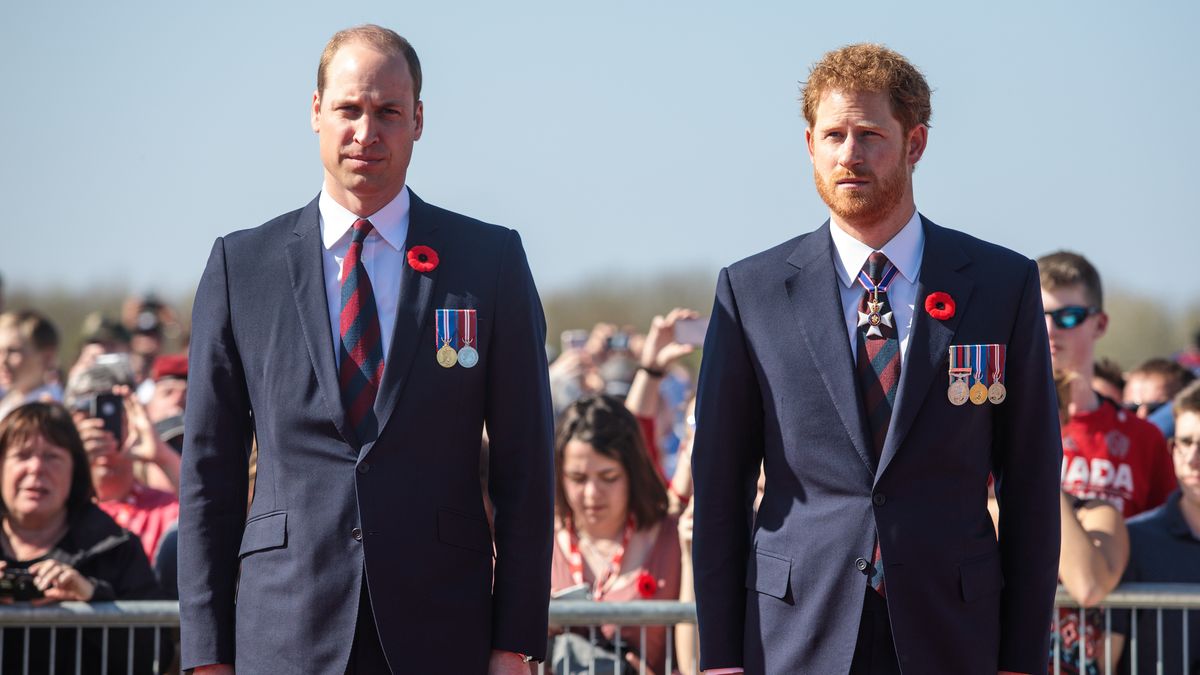 preview for 9 times Prince William and Prince Harry honoured their mother