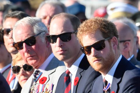 Prince Charles And Prince Harry And Prince William