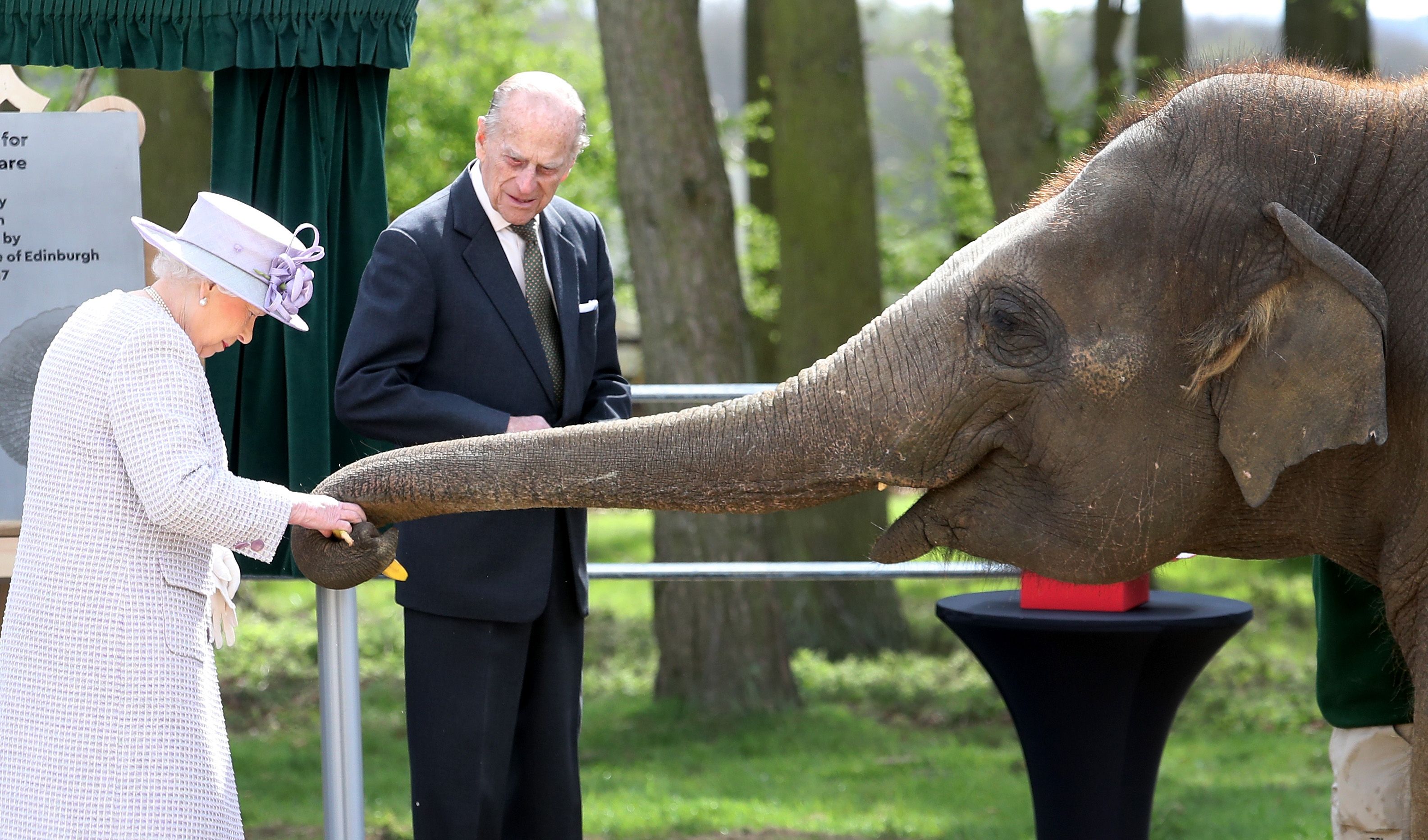 Photos of Queen Elizabeth II with Elephants - Queen Elizabeth with Donna  the Elephant