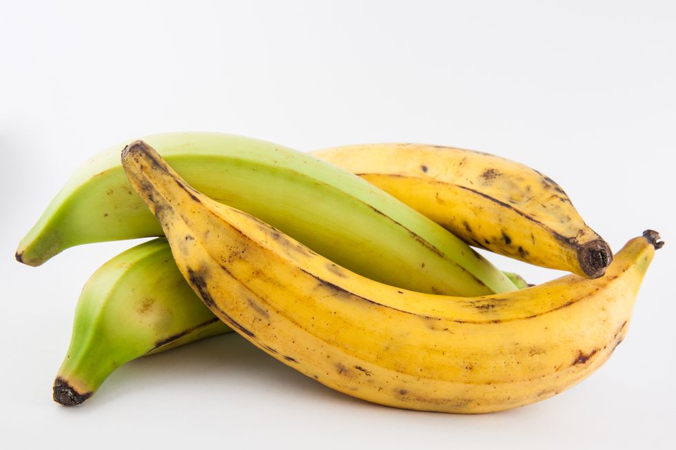 plantain or green banana musa x paradisiaca isolated in white background