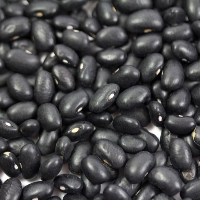 Bean, Food, Velvet bean, Black gram, Frijoles negros, Vegetable, Superfood, Plant, Java coffee, Jamaican blue mountain coffee, 