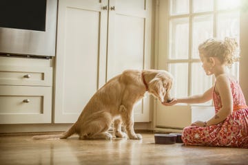 girl and dog
