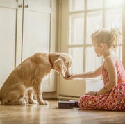 Caucasian girl sitting on kitchen floor feeding dog girl and dog