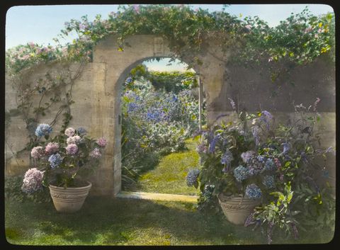northeast gate to garden, robert carmer hill house, grey gardens, lily pond lane, east hampton, new york, usa, by frances benjamin johnson, 1914 photo by universal history archiveuniversal images group via getty images