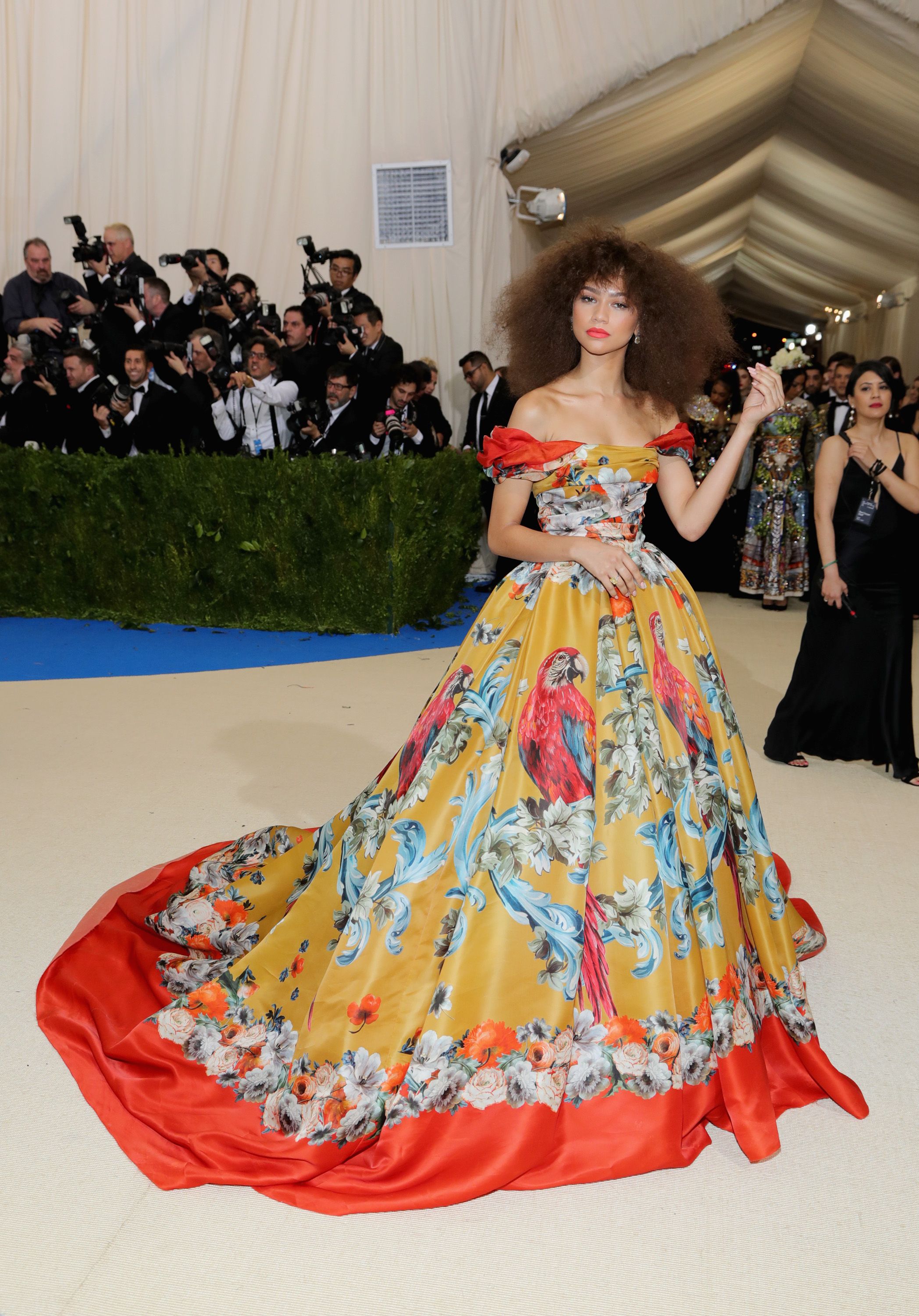 Great Outfits in Fashion History (Beauty Edition): Zendaya's Voluminous,  Brushed-Out Afro at the 2017 Met Gala - Fashionista